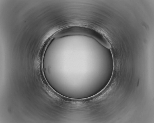 X0000115741114200911121056