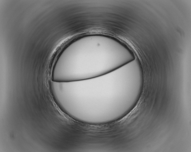 X0000115741115200911121056