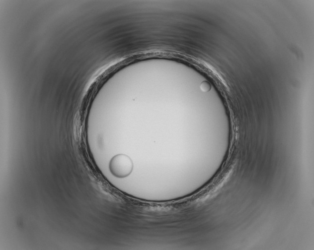 X0000115741117200911121056