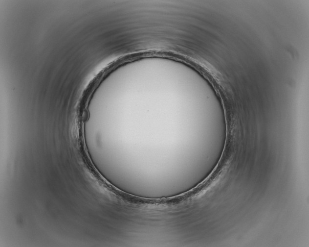 X0000115741118200911121056