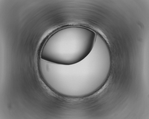 X0000115741122200911121056
