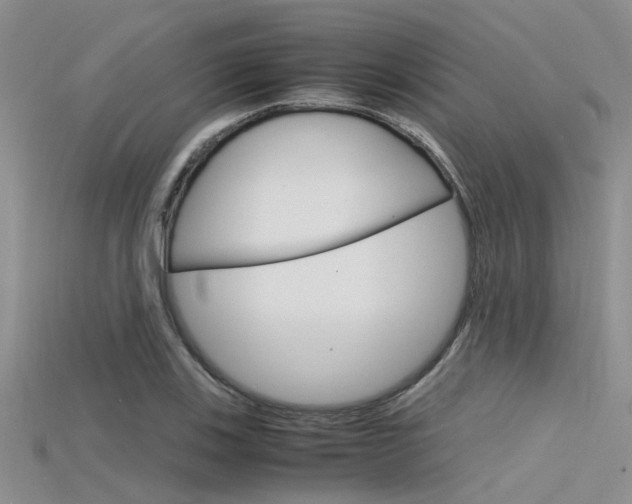 X0000115741123200911121056