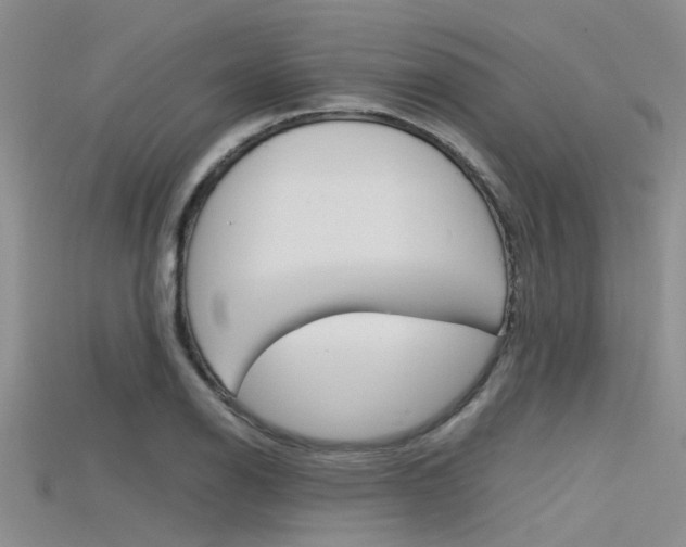 X0000115741126200911121056