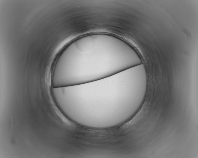 X0000115741127200911121056