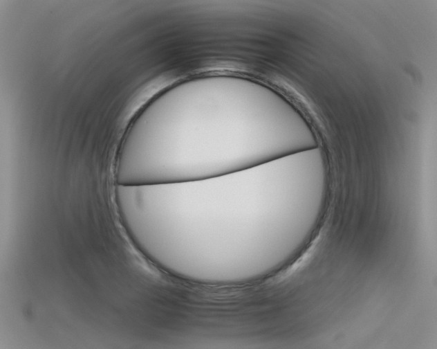 X0000115741129200911121057