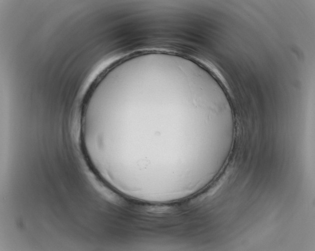 X0000115741131200911121057