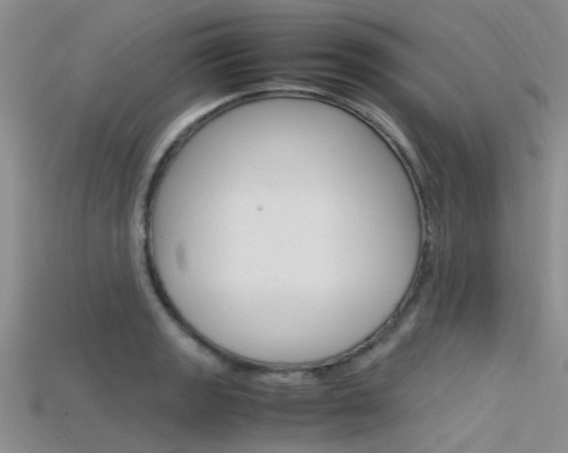 X0000115741133200911121057