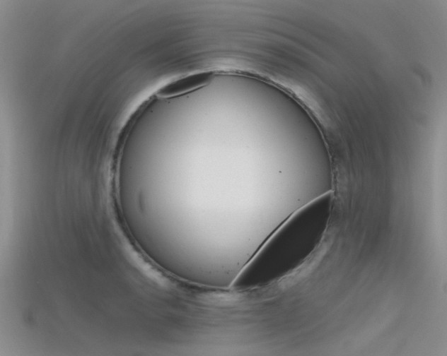 X0000115741134200911121057