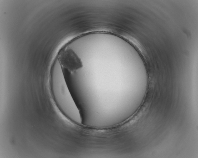 X0000115741135200911121057