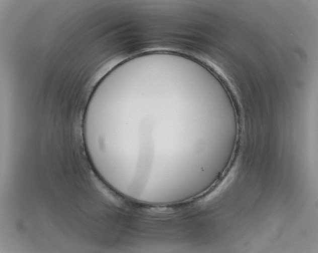 X0000115741137200911121057