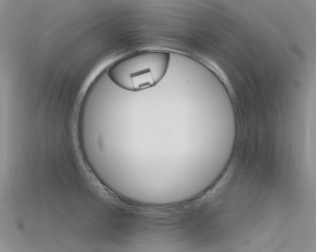 X0000115741138200911121057
