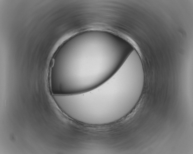 X0000115741146200911121057