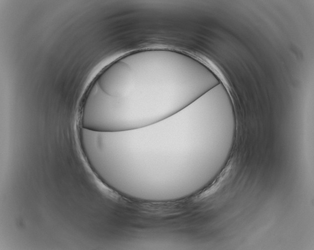 X0000115741149200911121057