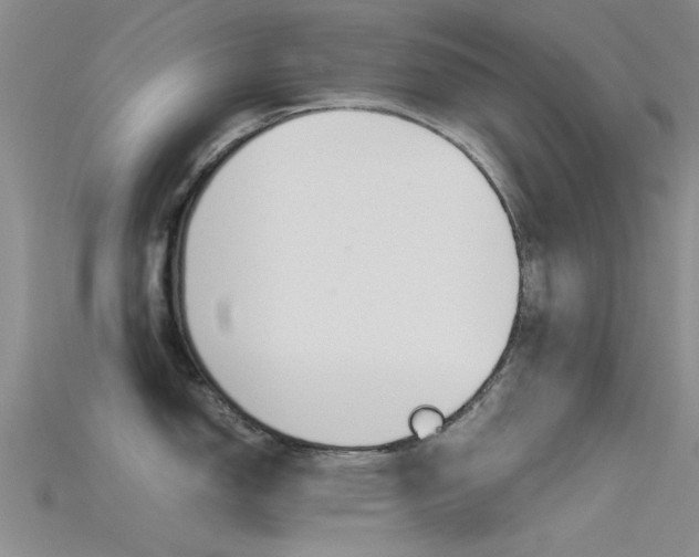 X0000115741150200911121057