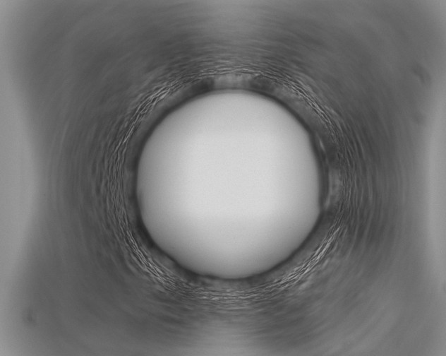 X0000115741153200911121056