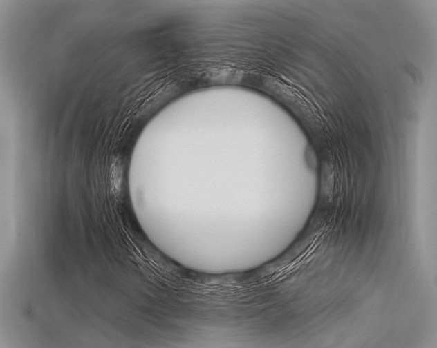 X0000115741154200911121056
