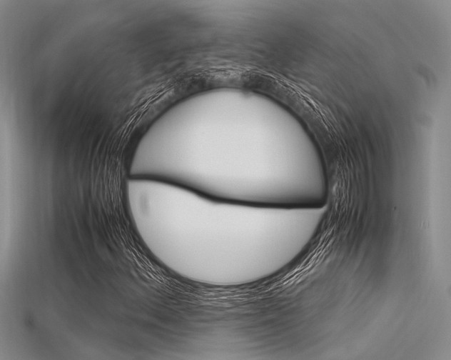 X0000115741156200911121056