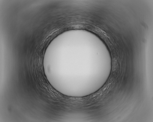 X0000115741158200911121056