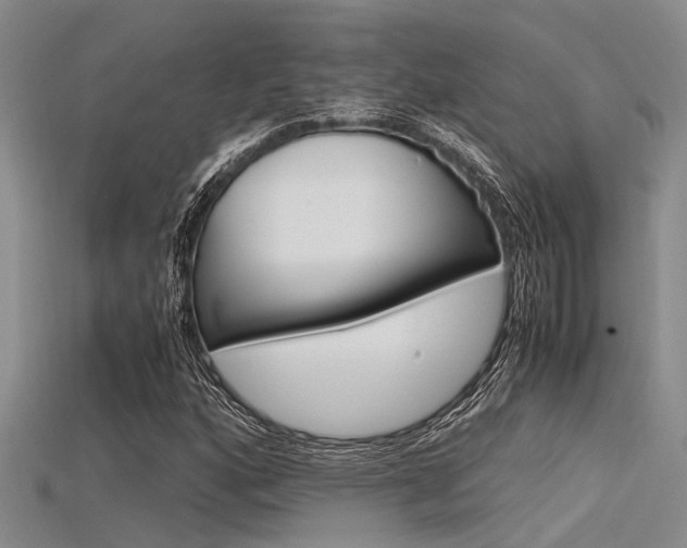 X0000115741160200911121056