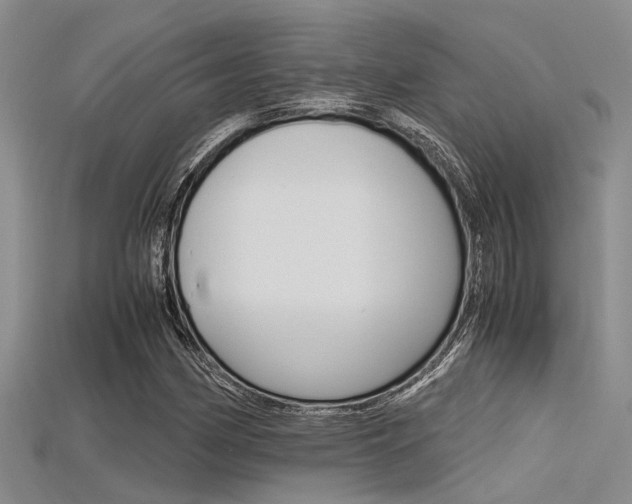 X0000115741162200911121056