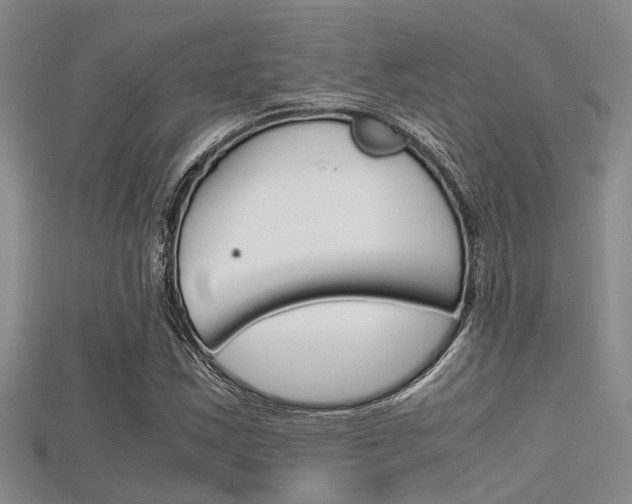 X0000115741163200911121056