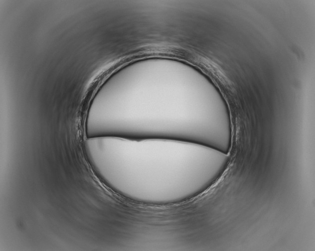 X0000115741164200911121056