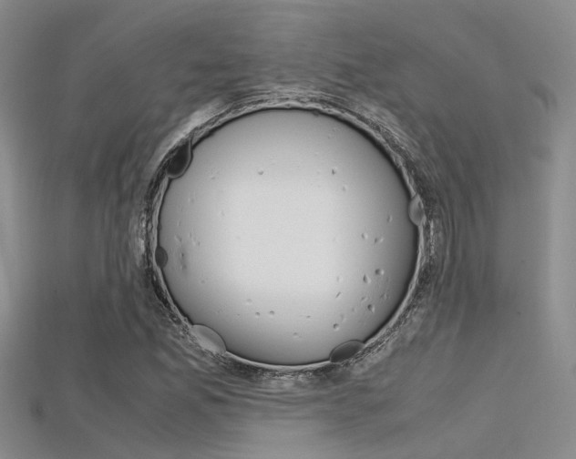X0000115741165200911121056