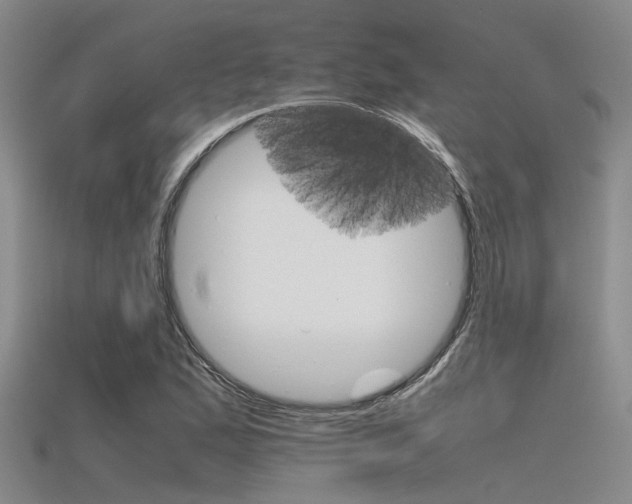 X0000115741167200911121056