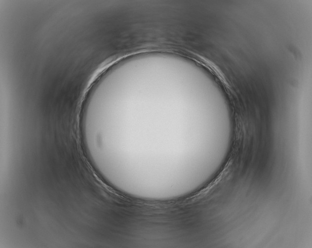 X0000115741168200911121056