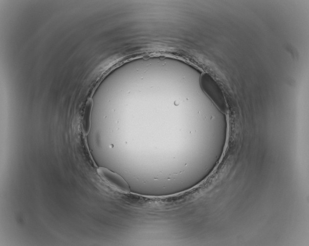 X0000115741169200911121056