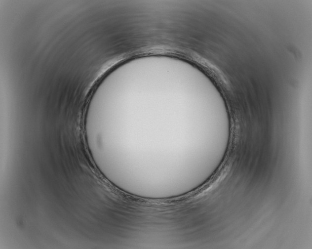 X0000115741170200911121056