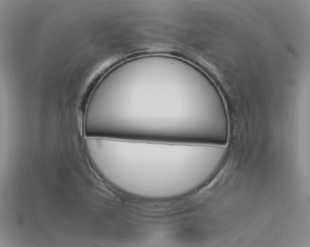 X0000115741171200911121056
