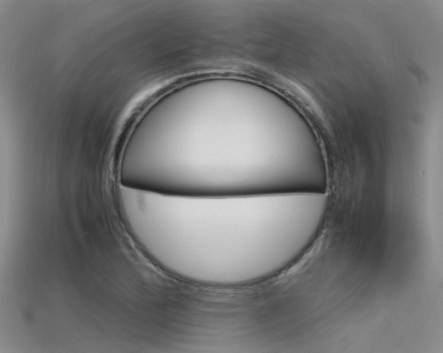 X0000115741172200911121056