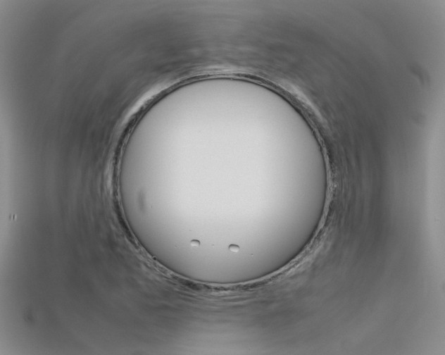 X0000115741173200911121056
