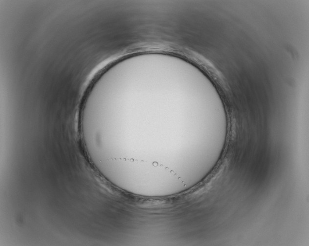 X0000115741174200911121056