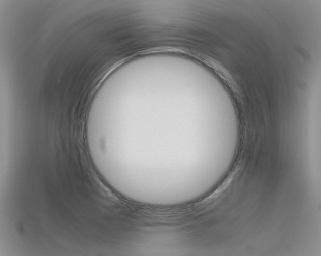 X0000115741177200911121056