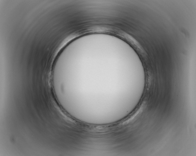 X0000115741178200911121056