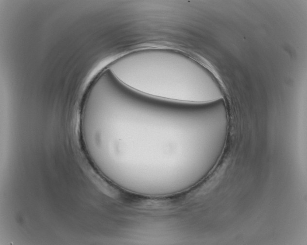 X0000115741179200911121056