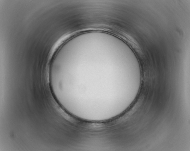 X0000115741180200911121056