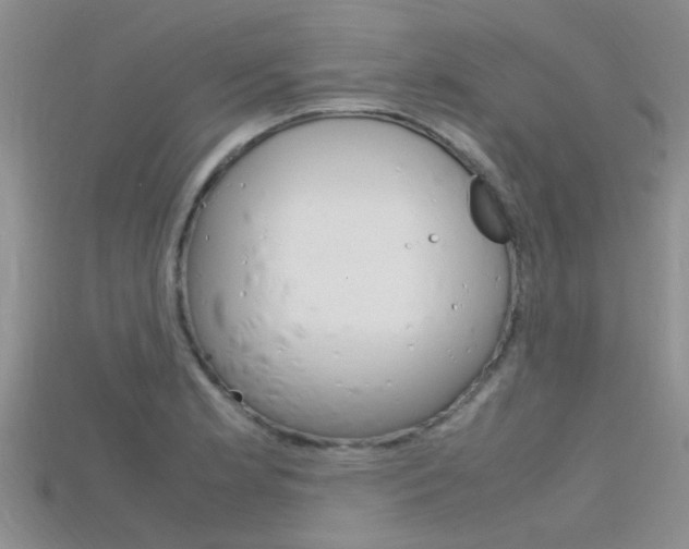 X0000115741181200911121056