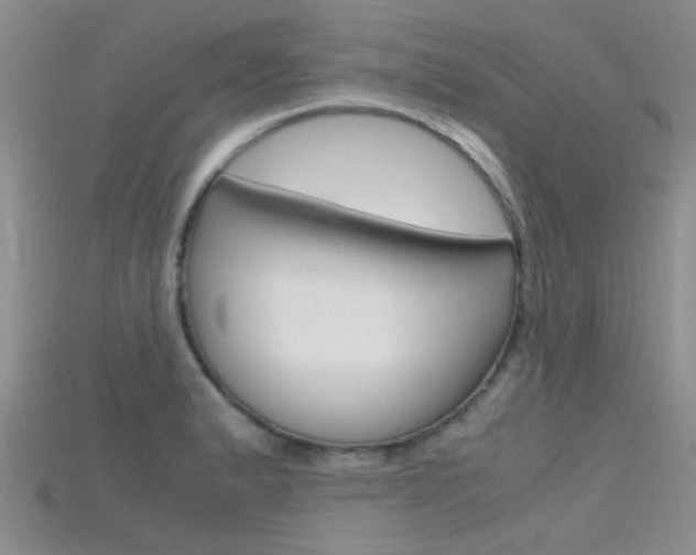 X0000115741183200911121056