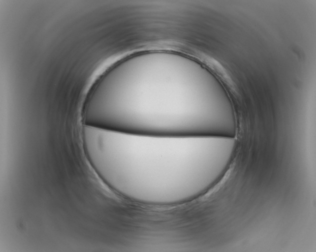 X0000115741184200911121056