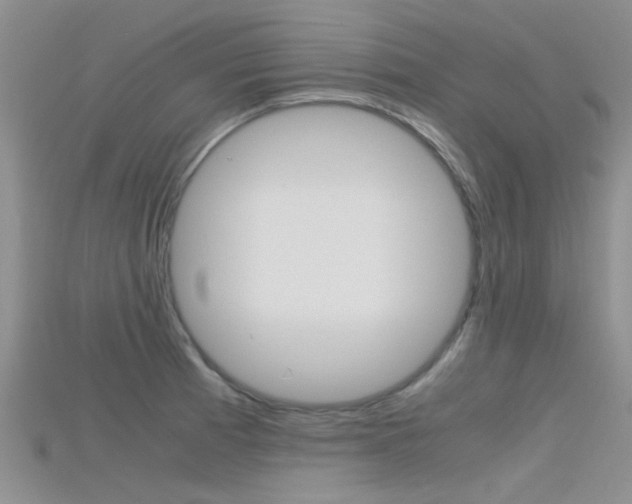 X0000115741185200911121056