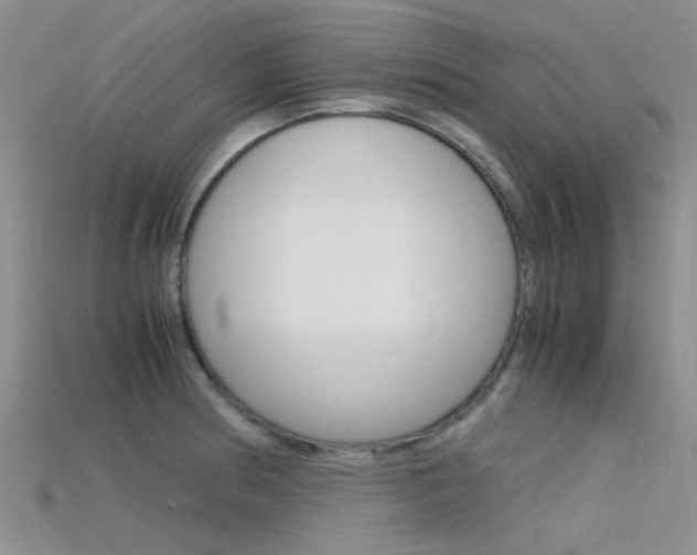X0000115741186200911121056