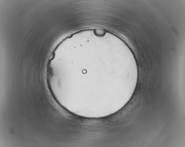 X0000115741187200911121056