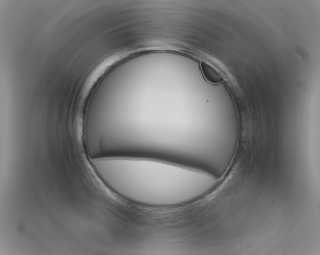 X0000115741188200911121056