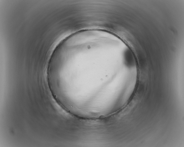 X0000115741189200911121056