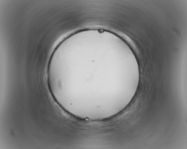 X0000115741191200911121056