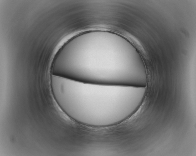 X0000115741192200911121056