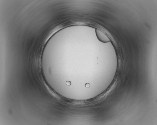 X0000115741194200911121056